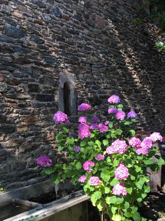 La Conquise Appartement Conques-en-Rouergue Buitenkant foto
