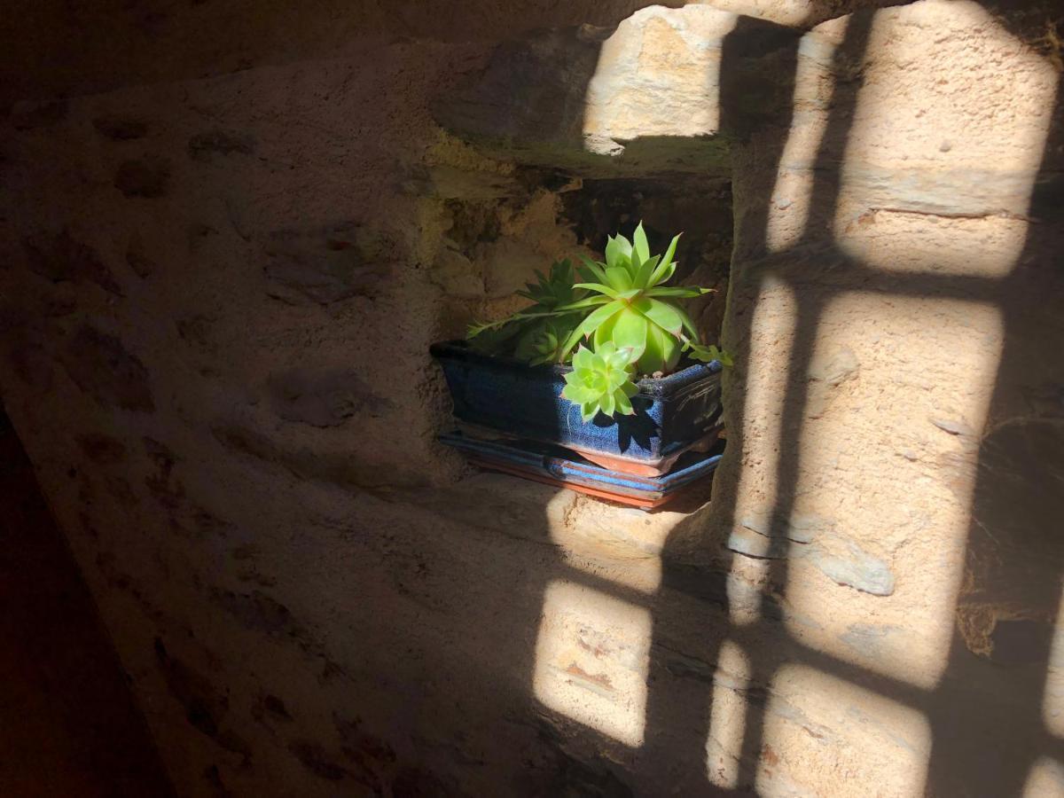 La Conquise Appartement Conques-en-Rouergue Buitenkant foto